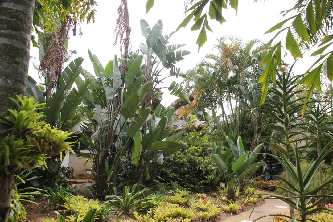 Gartenanlage Hotel Lidiko Lodge