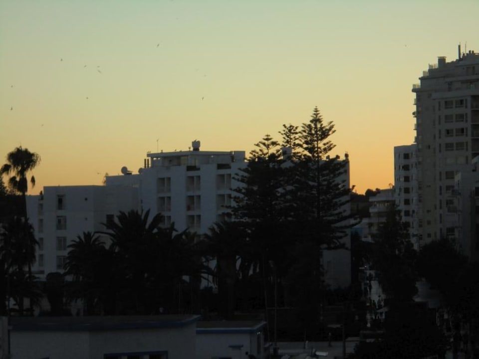 Ausblick Algar