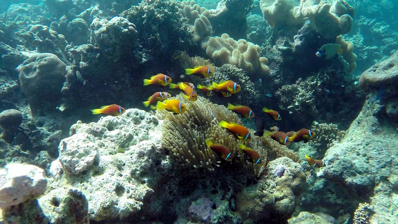 Sport & Freizeit Eri Maldives