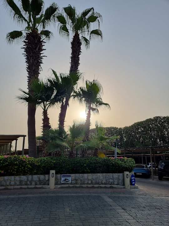 Außenansicht The Cove Rotana Resort