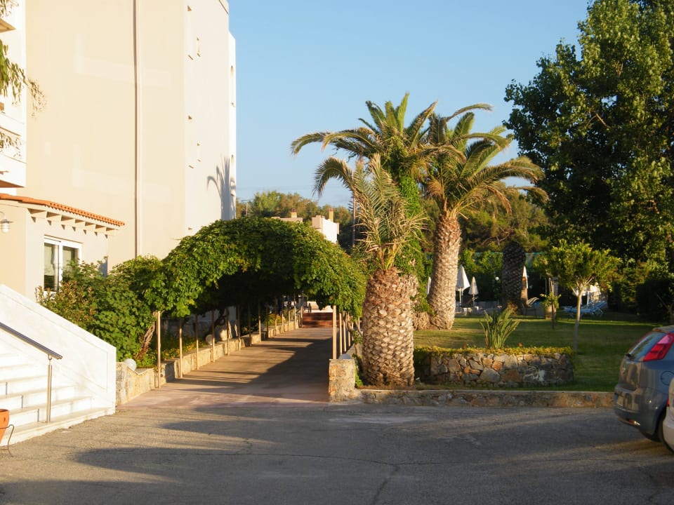 Side  entrance  and alley  to the pool Solimar Dias Hotel