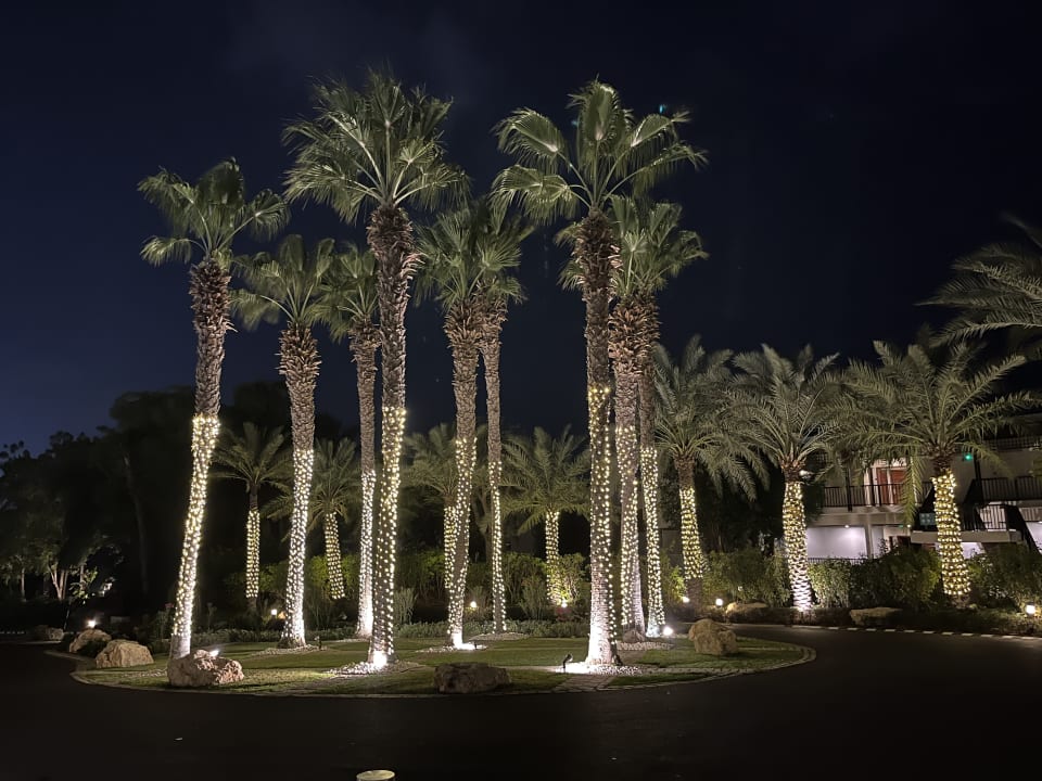 Gartenanlage JA Palm Tree Court