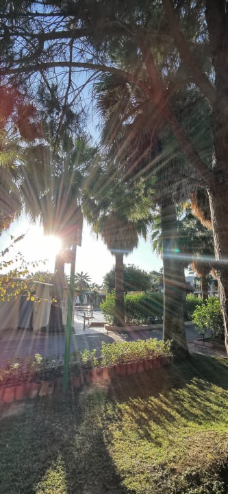 Gartenanlage VONRESORT Golden Beach