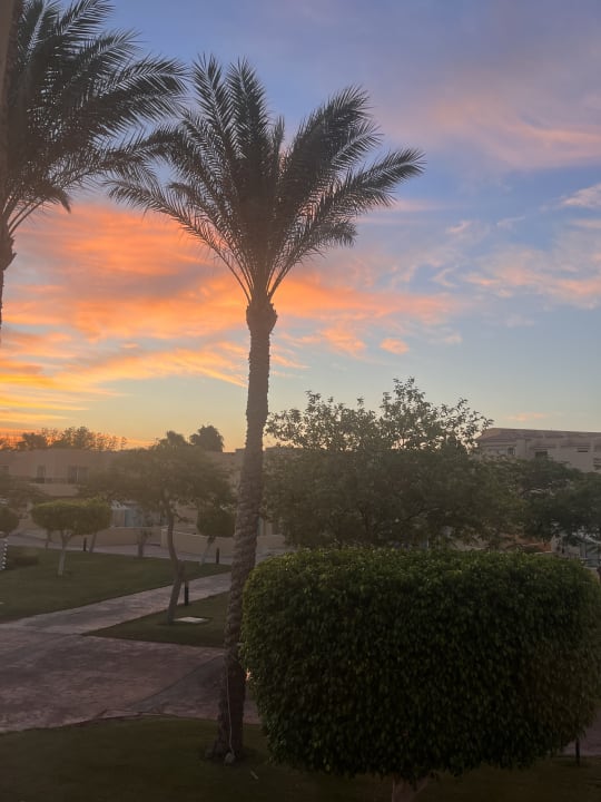 Gartenanlage Cleopatra Luxury Resort Makadi Bay