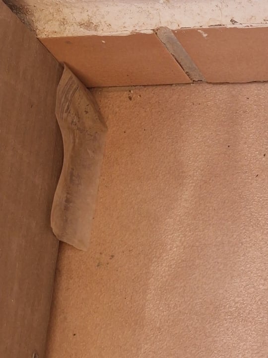 Zimmer AluaSoul Palma