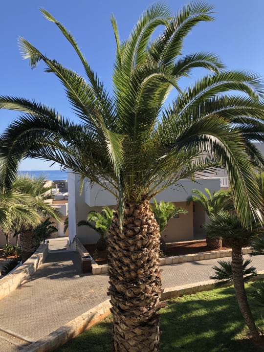 Außenansicht Grand Hotel Holiday Resort