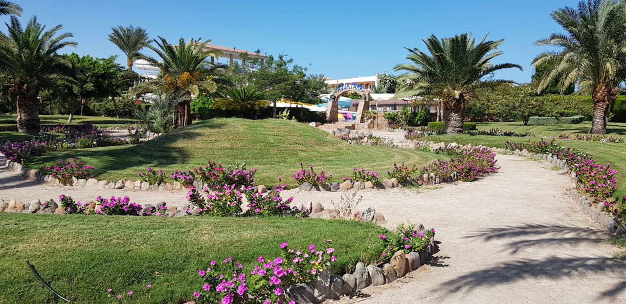 Gartenanlage Desert Rose