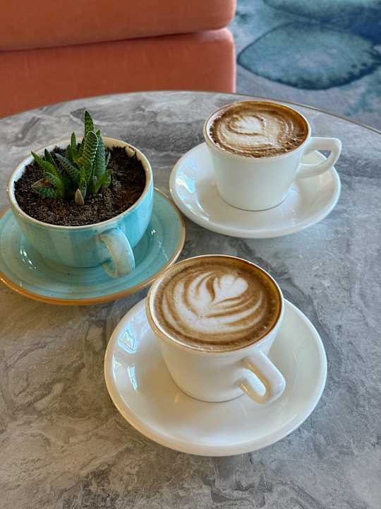 Gastro TUI MAGIC LIFE Beldibi +16