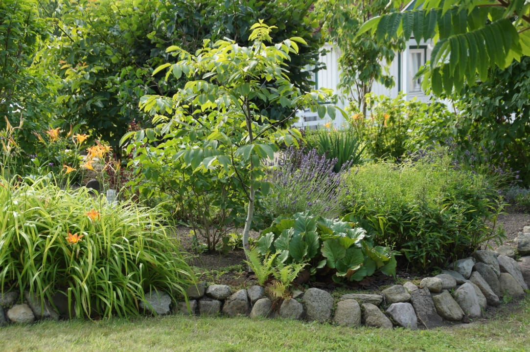Ausblick von der großen Terrasse Hotelanlage Tarnewitzer Hof