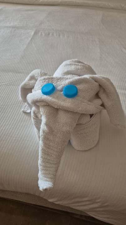 Zimmer Beach Albatros Resort