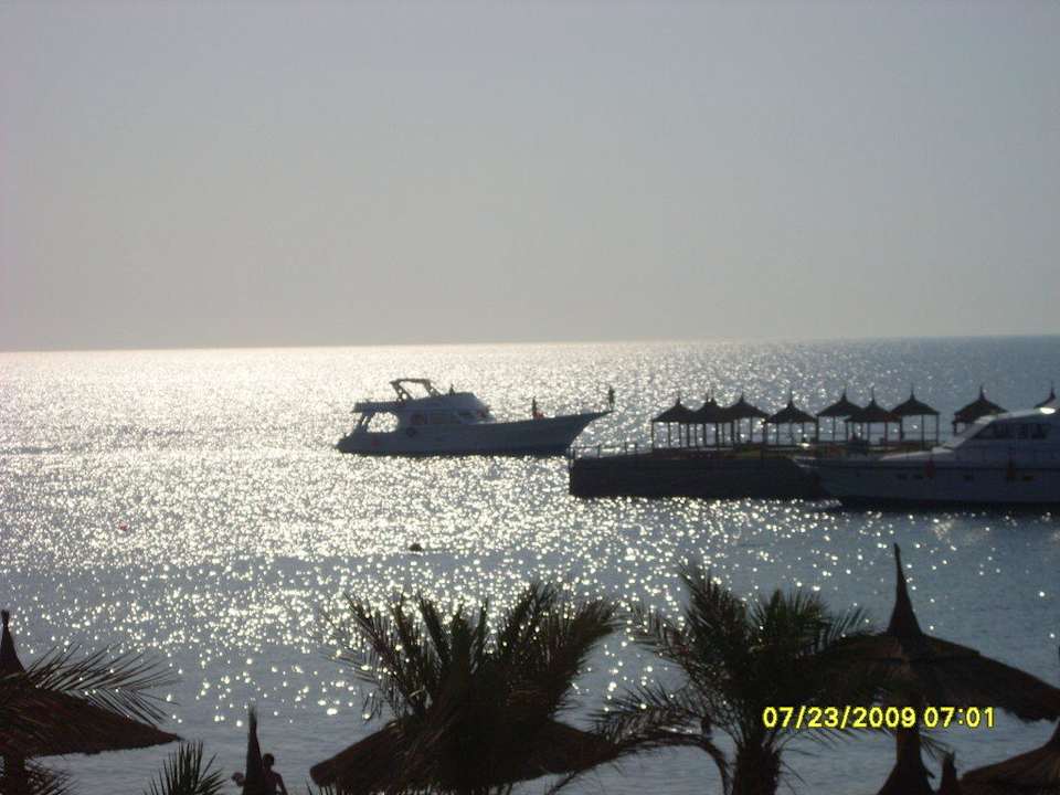 Restaurant - Ausblick Beach Albatros Resort