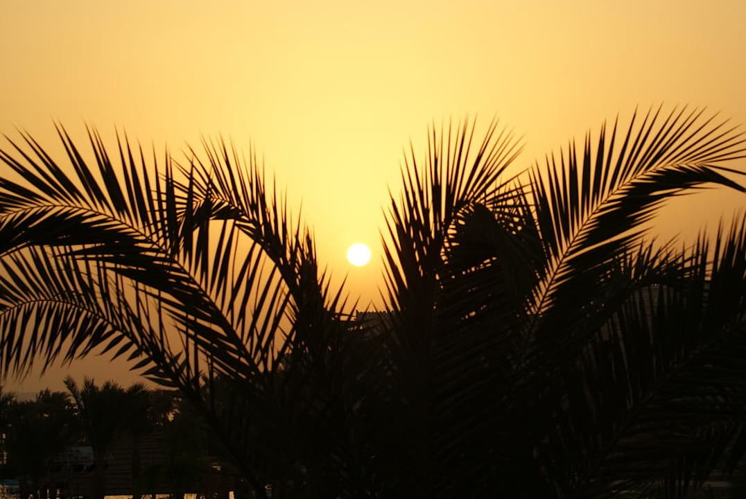 Sonnenaufgang Pickalbatros Palace Resort