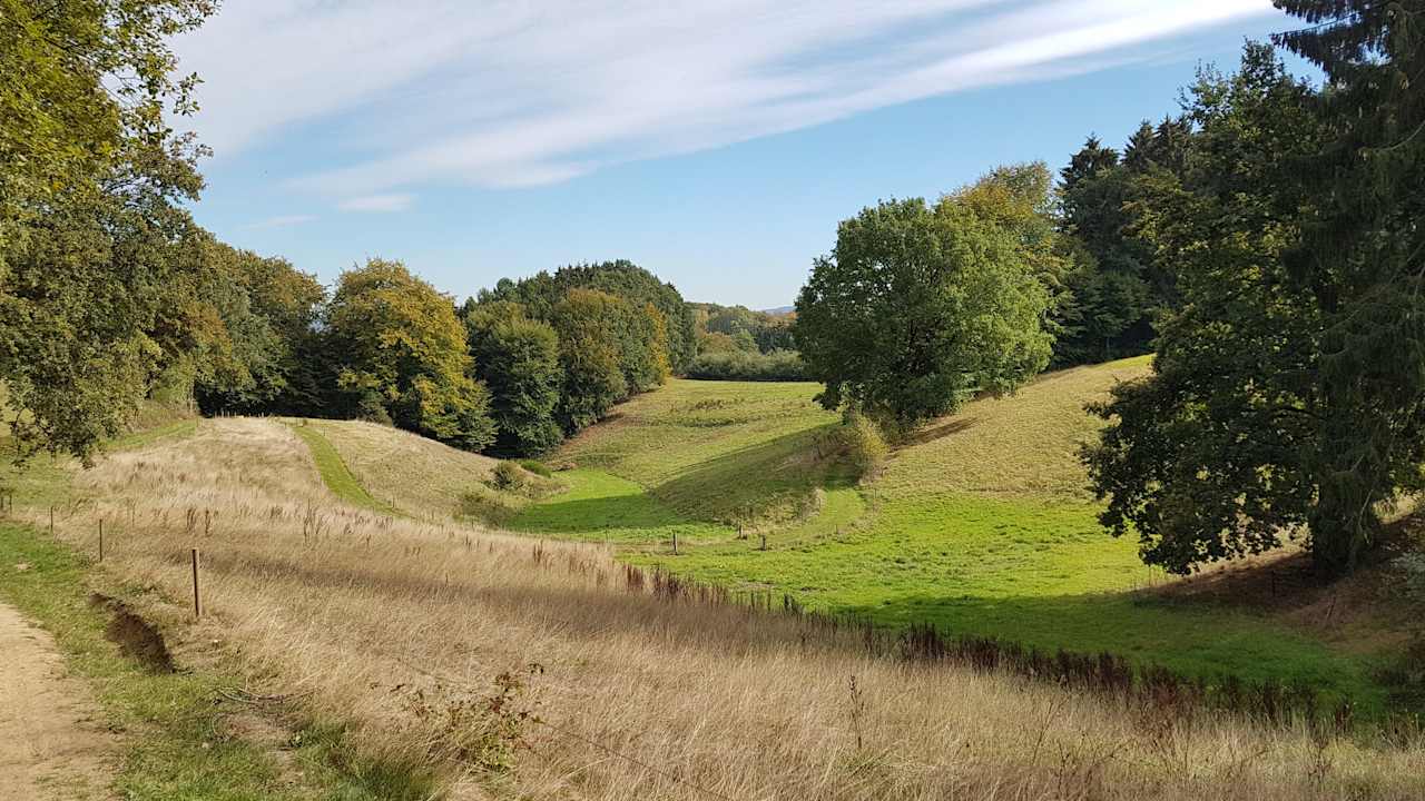 Ausblick Ferienwohnung Tecklenburger Augenblicke