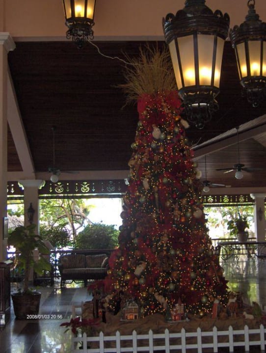 Eingangshalle Playabachata Hotel