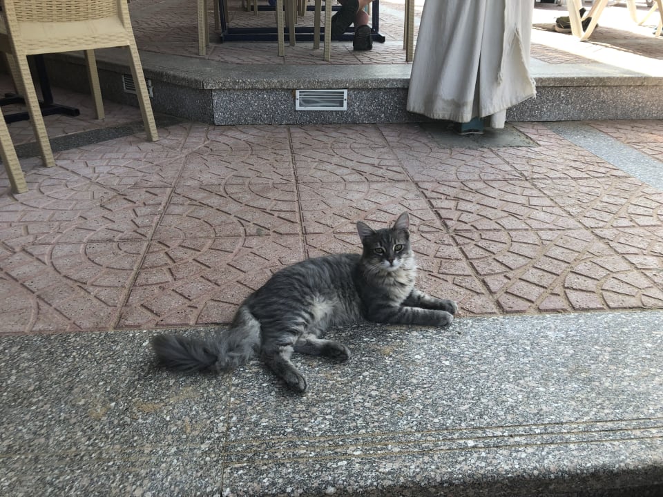 Sonstiges Bella Vista Resort Hurghada