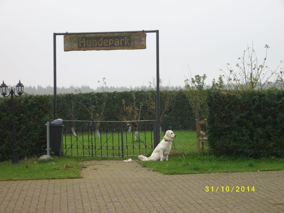 Hundepark Gutshof Sparow (Im Umbau/Renovierung)