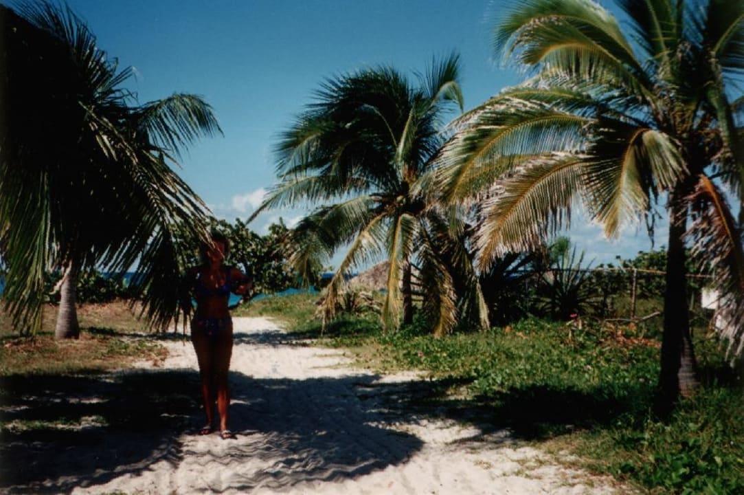 Weg zum Strand Hotel Roc Barlovento
