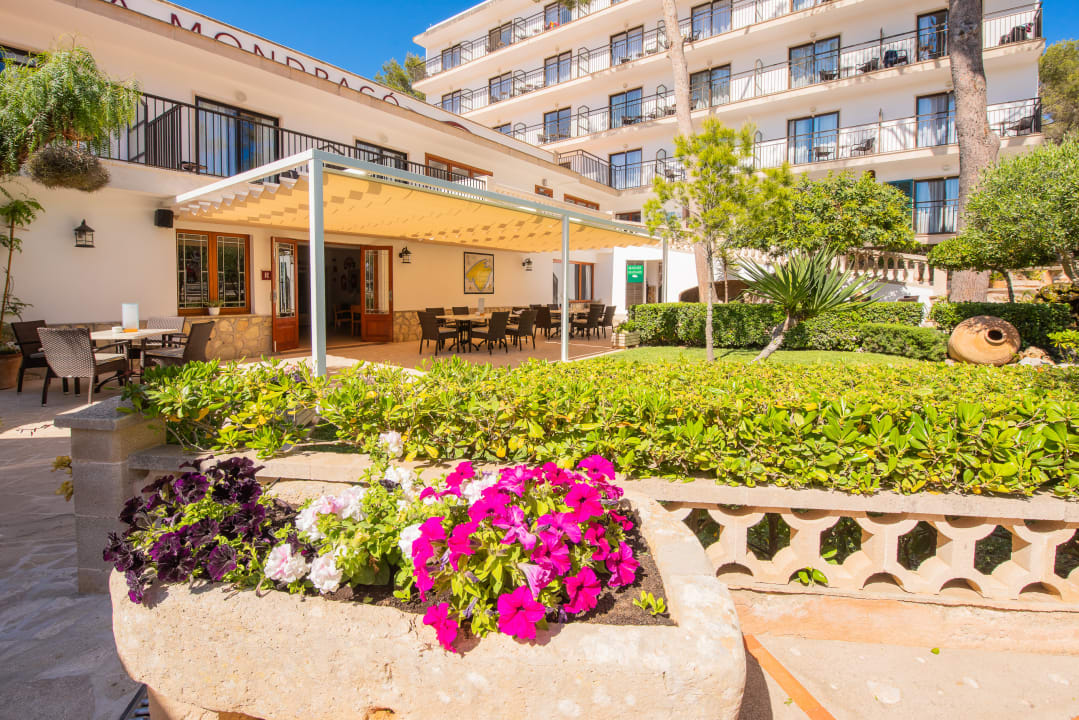 Gartenanlage Hotel Playa Mondrago