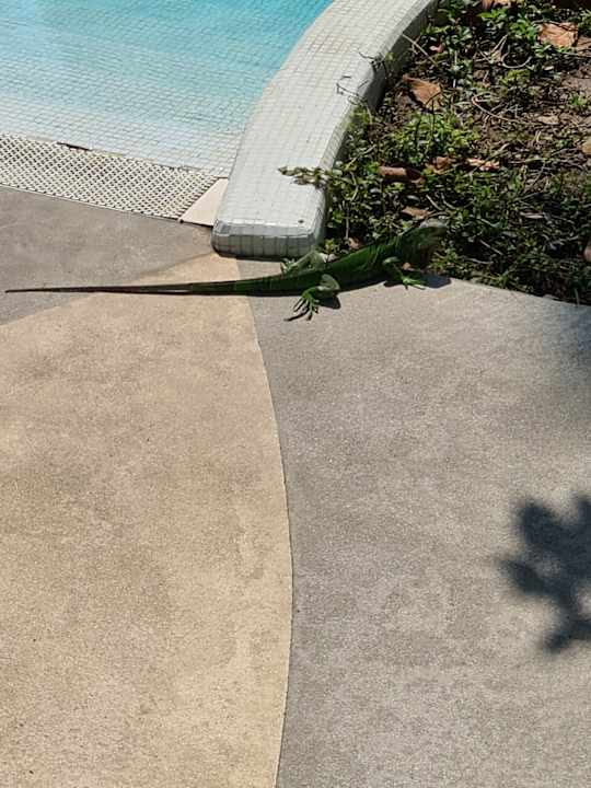 Sonstiges The Hacienda at Hilton Puerto Vallarta - Adults Only