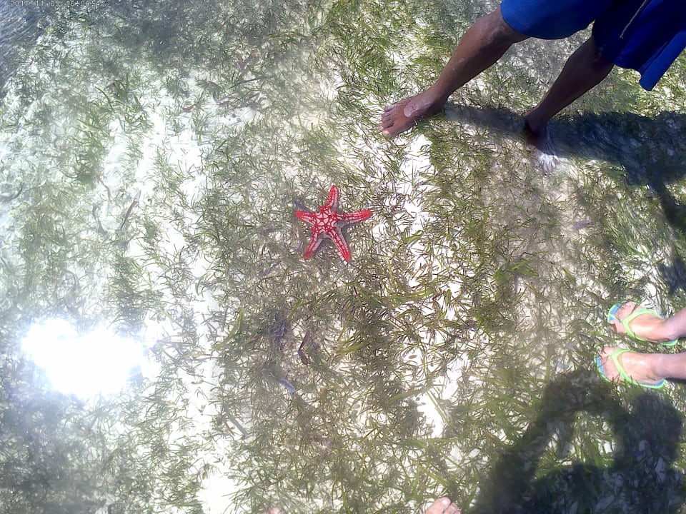 Strand Neptune Paradise Beach Resort & Spa