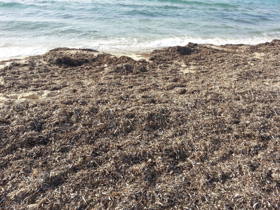 Dreck Hotel El Fell Resort & Spa