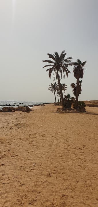 Strand Pickalbatros Citadel Resort