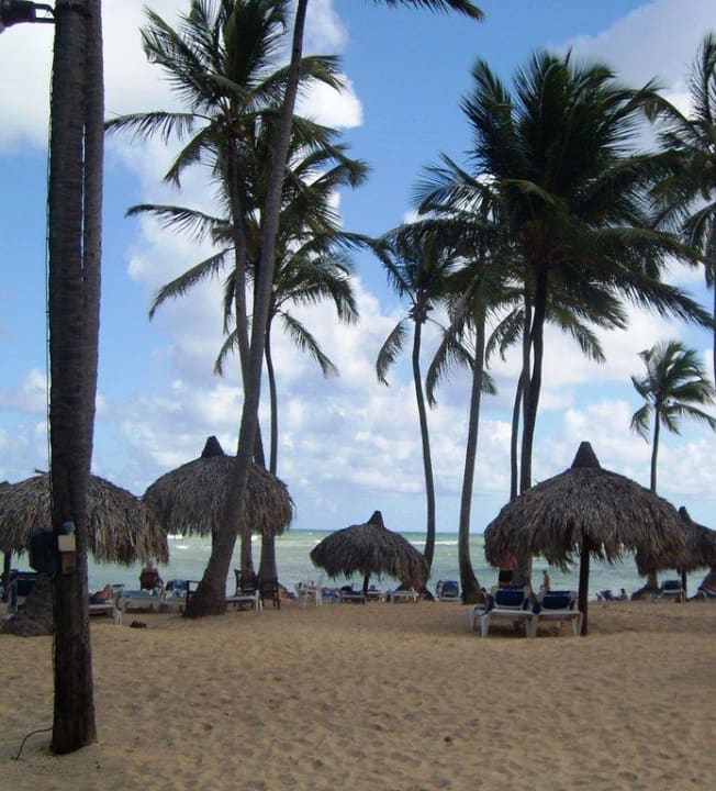 Hotelstrand mit karibischen Schirmen und Palmen Grand Sirenis Punta Cana Resort & Aquagames