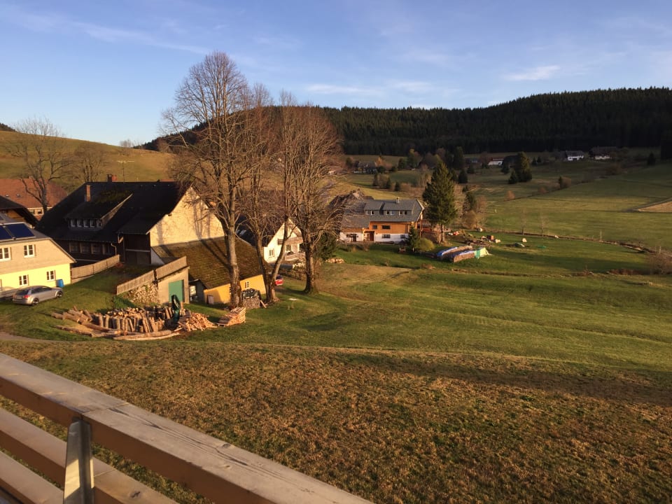 Ausblick derWaldfrieden naturparkhotel