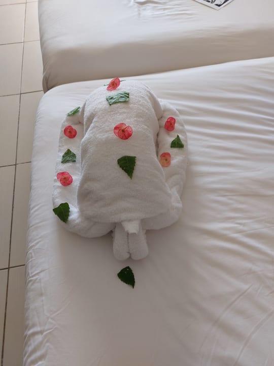 Zimmer Jaz Dar EL Madina