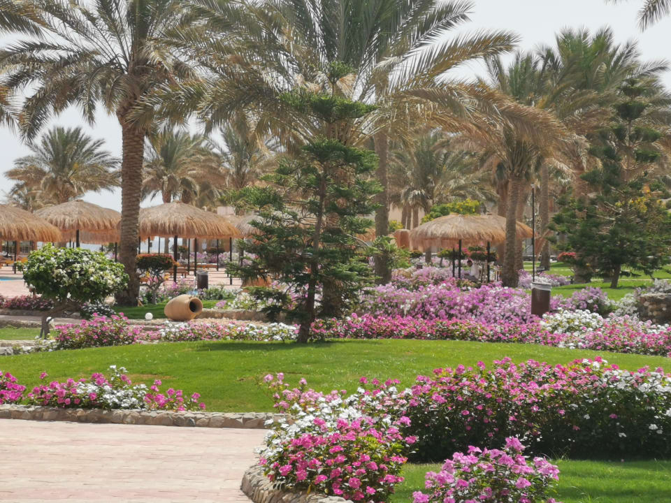 Gartenanlage Three Corners Sea Beach Resort