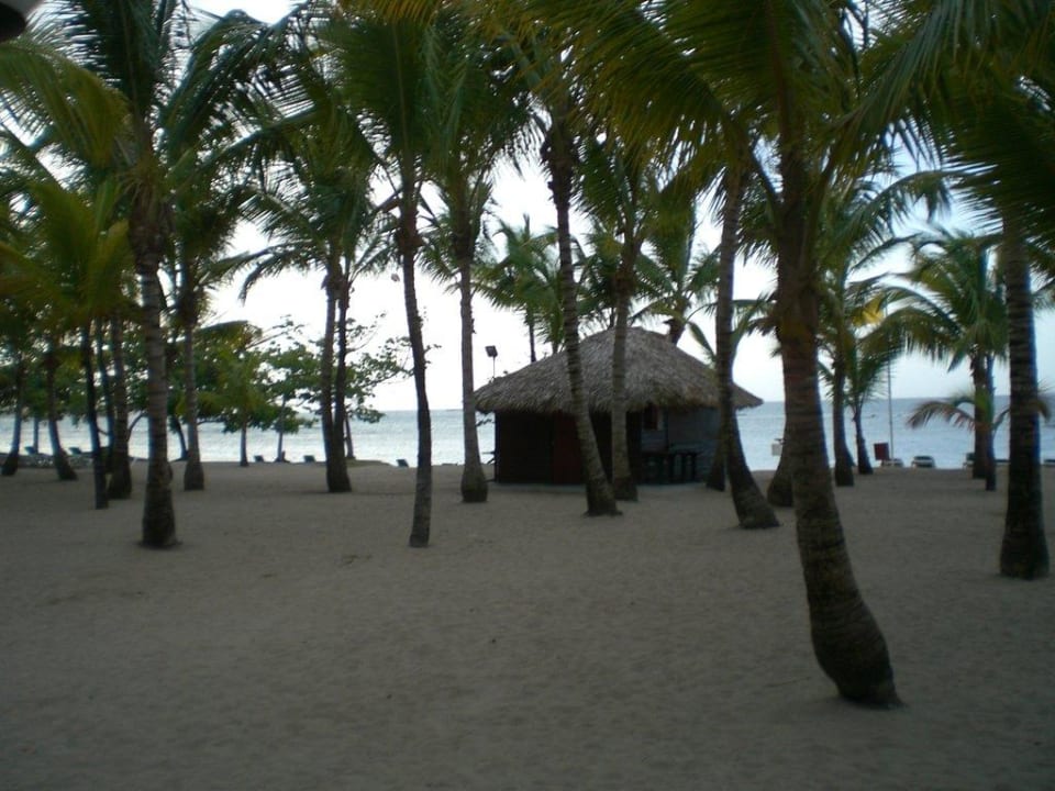 Bar am Strand Playabachata Hotel