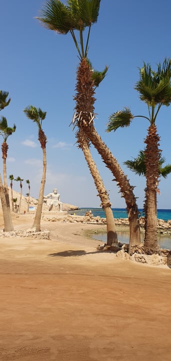 Strand Pickalbatros Citadel Resort