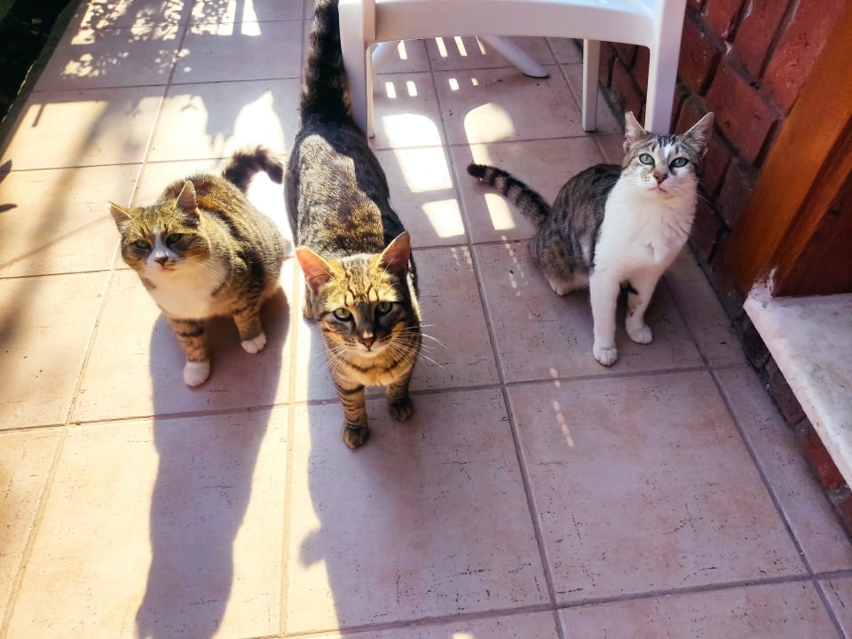 Sonstiges Can Garden Beach