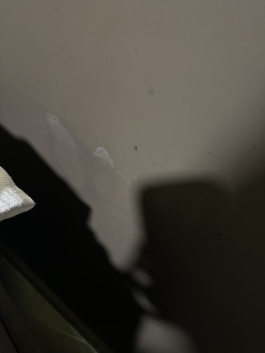 Sonstiges Blue Star Hotel