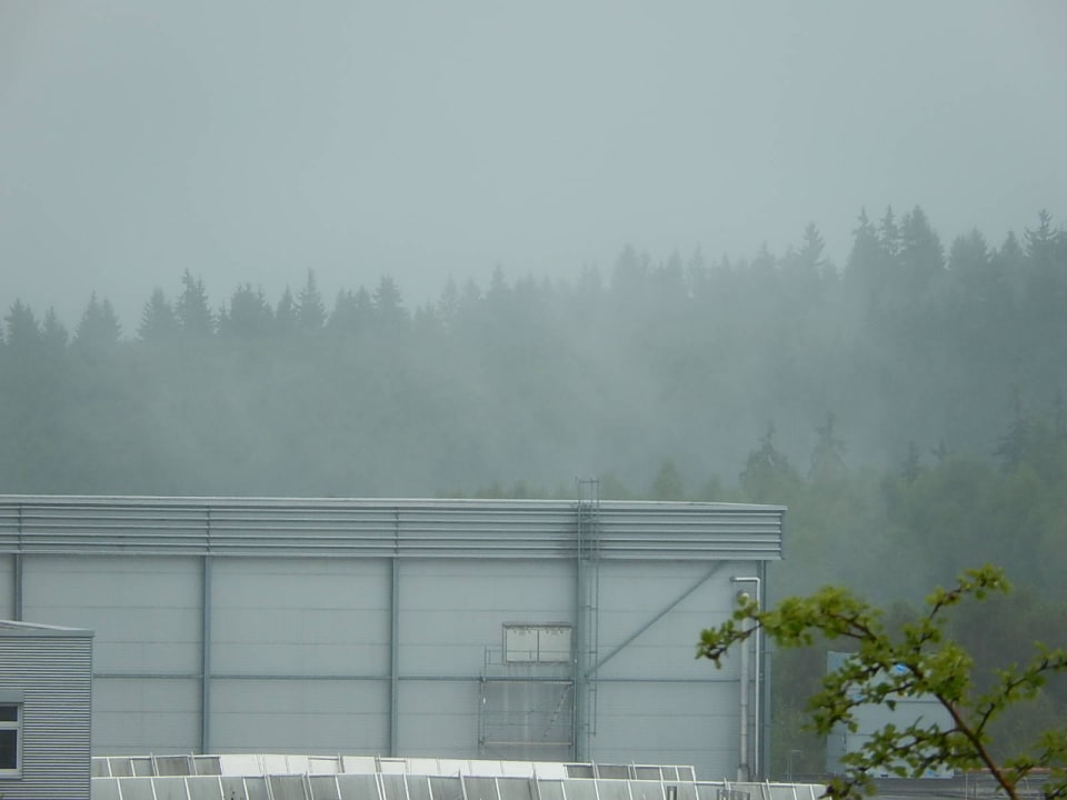 Nebel am Morgen Business Vital Hotel am Rennsteig