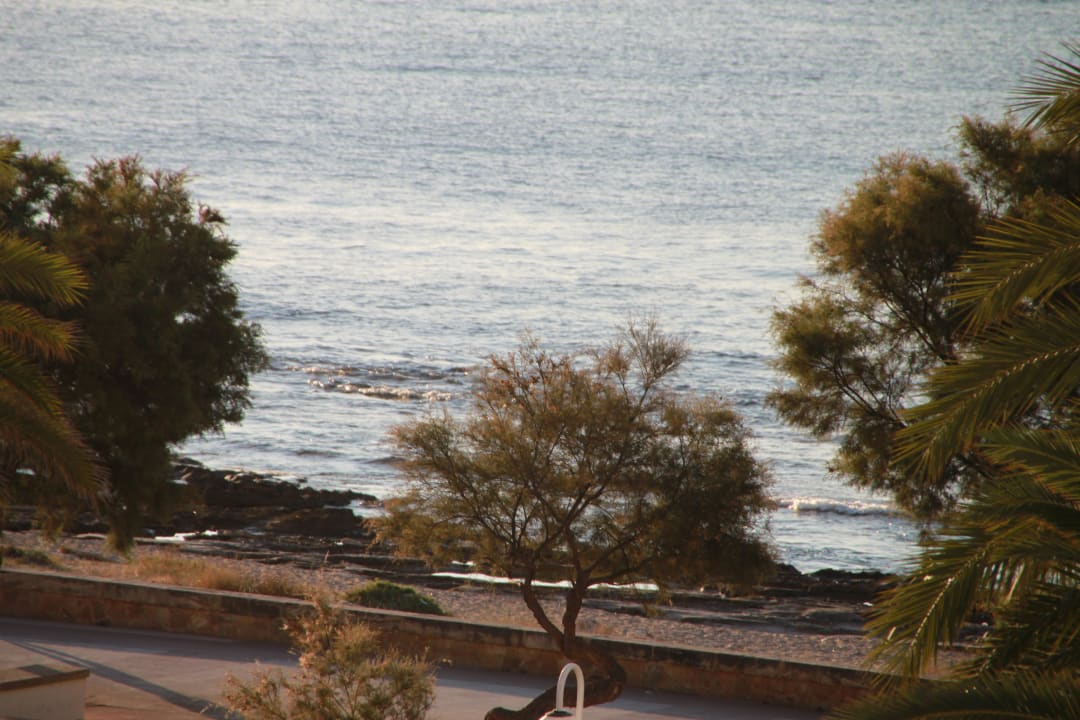 Ausblick vom Balkon Aparthotel Playa Dorada