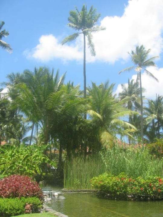 Gartenanlage Paradisus by Melia Bali