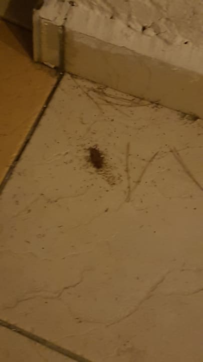 Gartenanlage Heronissos Hotel