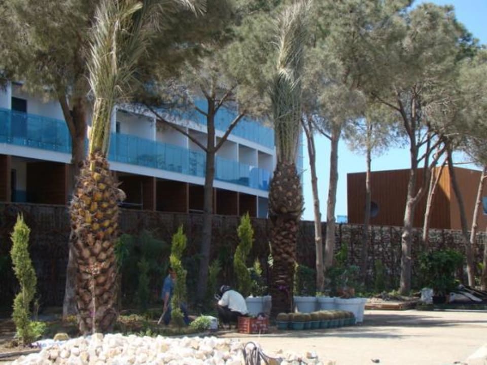 Gärtner Granada Luxury Okurcalar