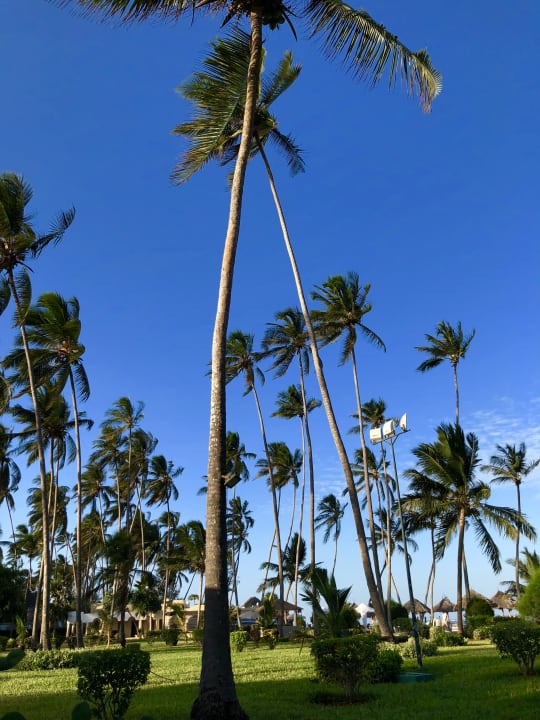 Gartenanlage TUI Blue Bahari Zanzibar