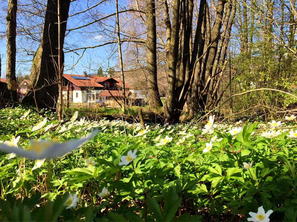 Außenansicht Ferienwohnung Fritz Gabi Bodenmais