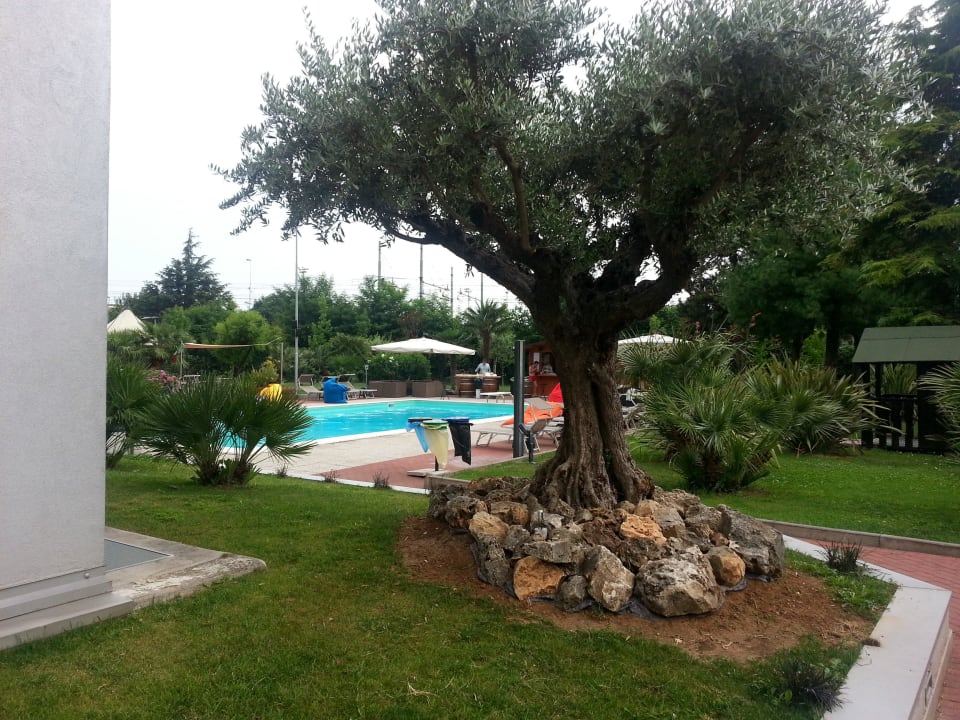 Weg vom Hotel zum Pool Best Western Soave Hotel