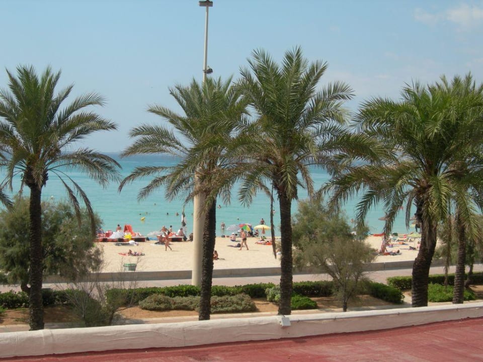 Blick aus dem Zimmer Hotel HM Gran Fiesta