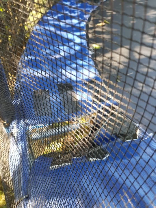 Sport & Freizeit Bauernhof Kerndlerhof