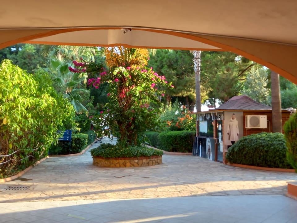 Ausblick Club Turtas Beach Hotel