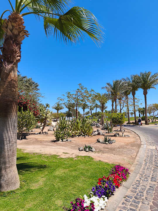 Gartenanlage Steigenberger Aqua Magic