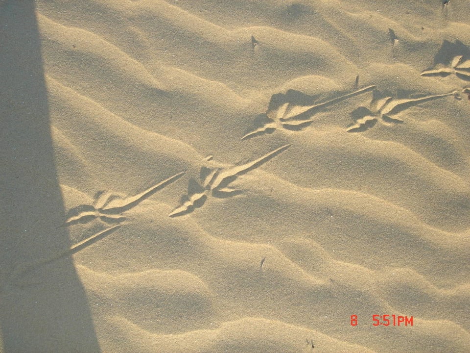 Sabbia d'oro Hotel Da Giovanna