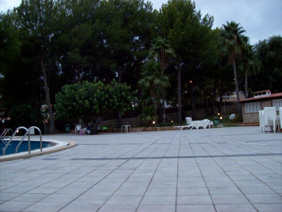 Pool BQ Belvedere Hotel