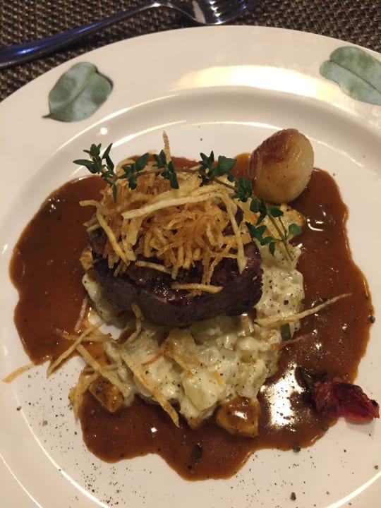 Gastro Acanthus Cennet Barut Collection