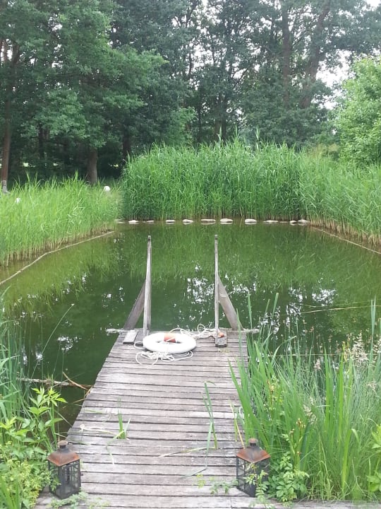 Schwimmteich Rundlingsdorf Sagasfeld